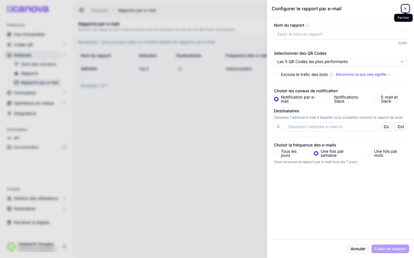 Panneau de configuration d'un rapport par e-mail avec fréquence et destinataires