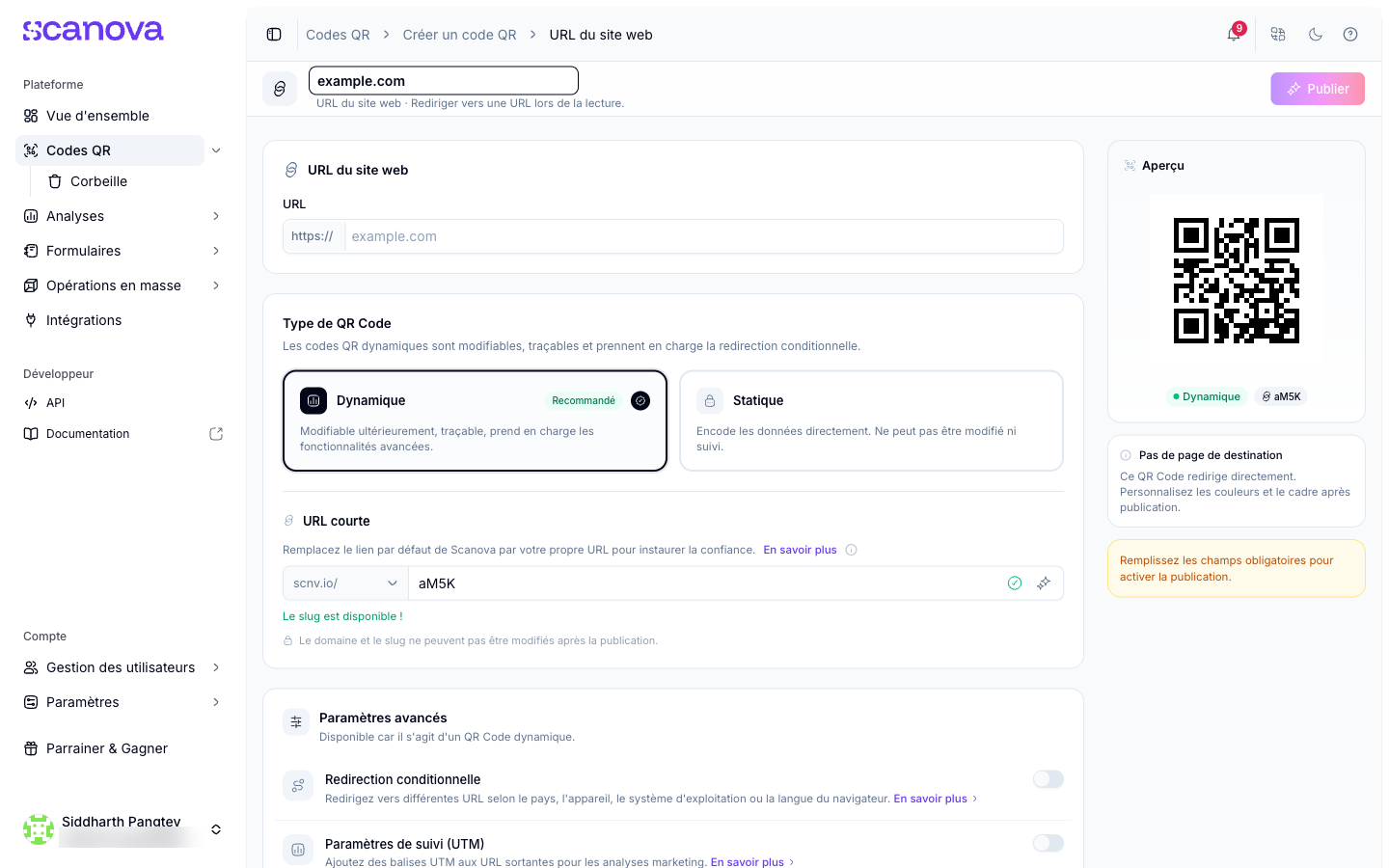Formulaire d'URL de site web avec l'URL saisie et une short URL générée