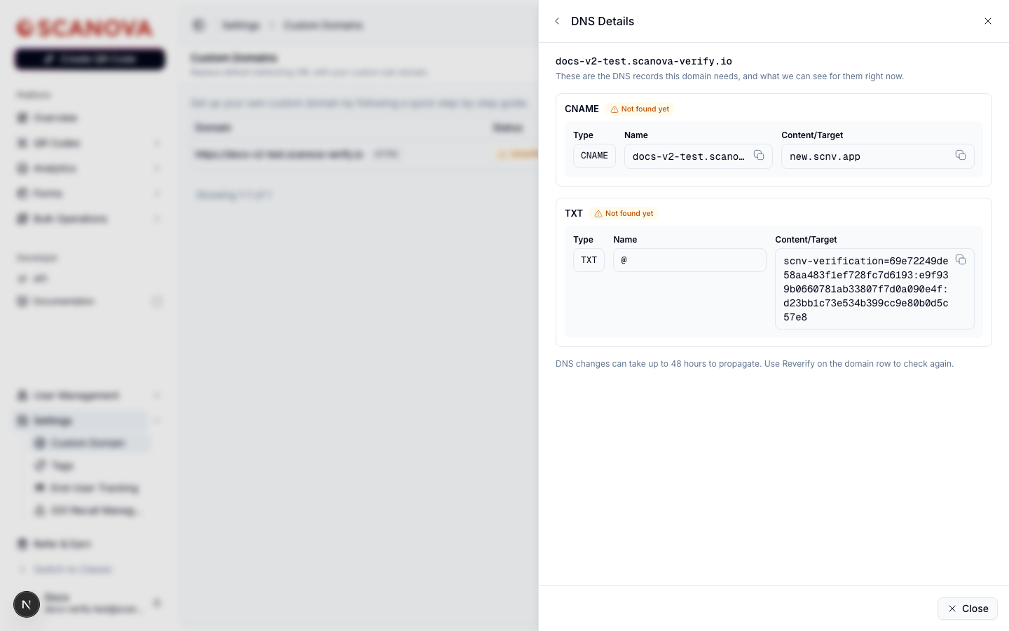 DNS Details drawer showing a CNAME record and a TXT record, both marked 'Not found yet', with their Type, Name, and Content/Target fields and copy-to-clipboard buttons