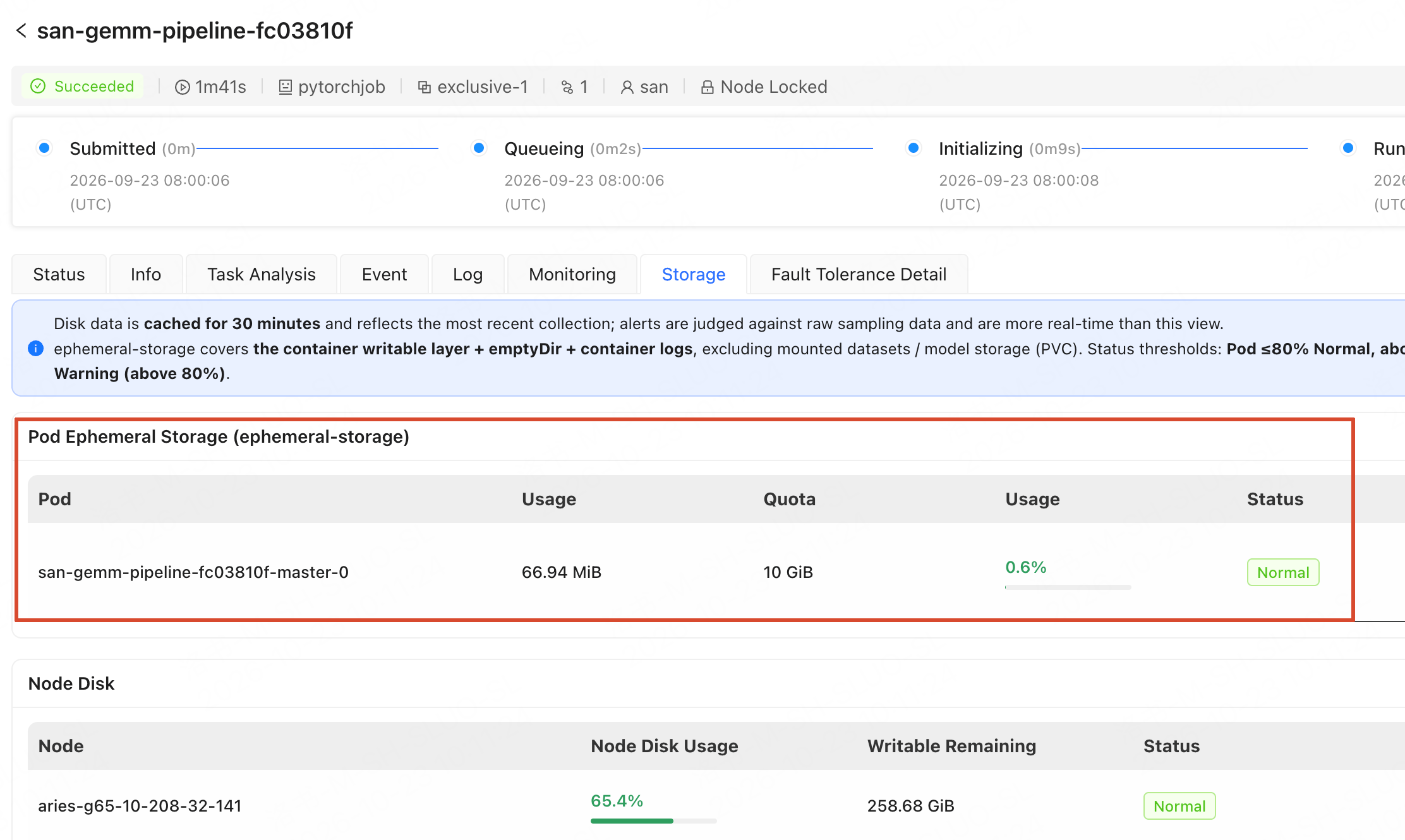 Storage tab on a training job details page