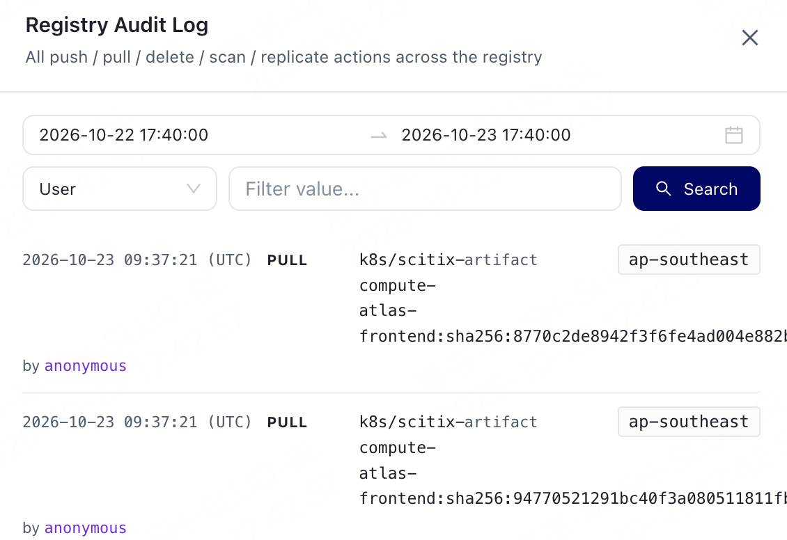 Registry audit logs