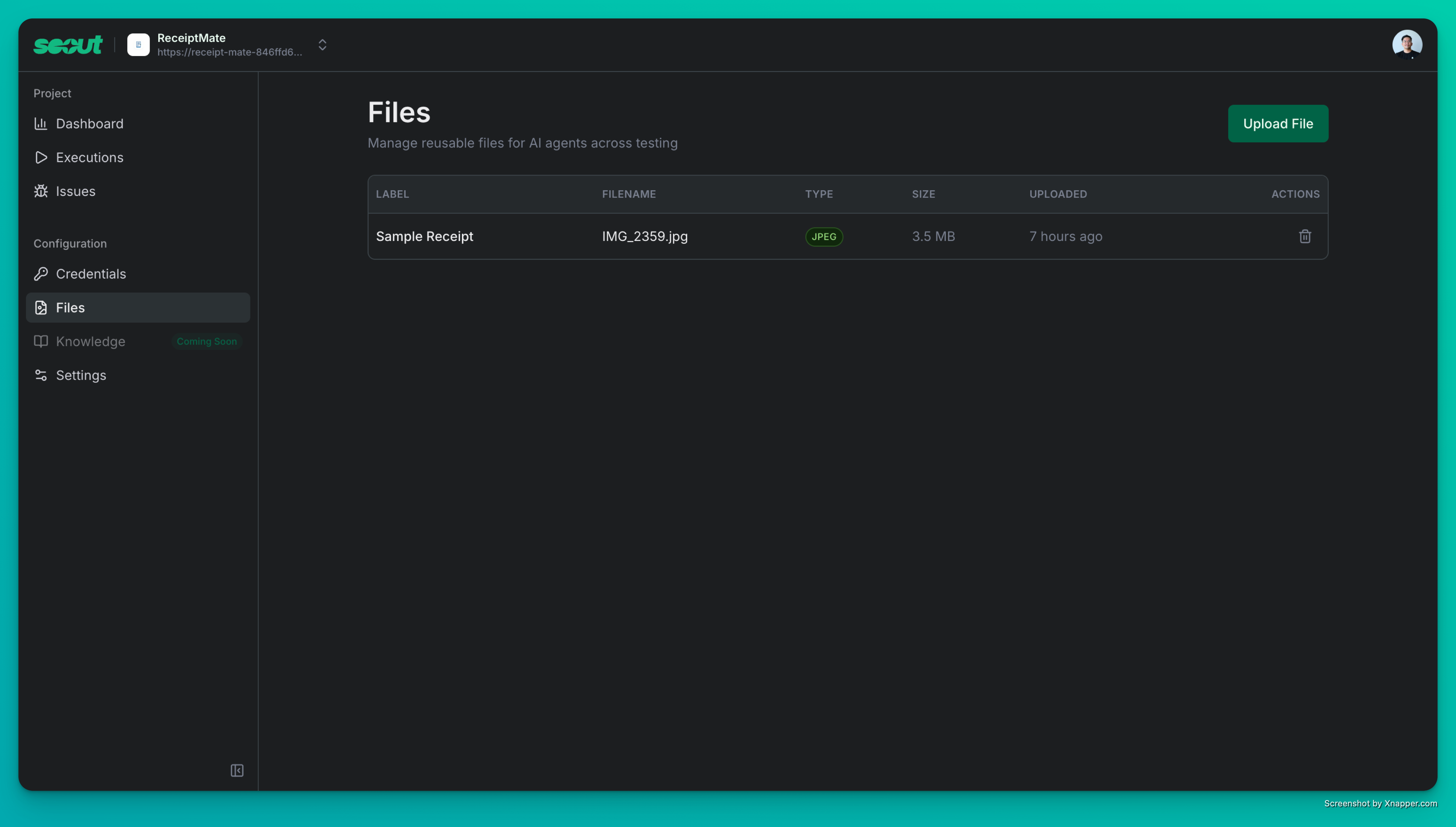 Manage your project files