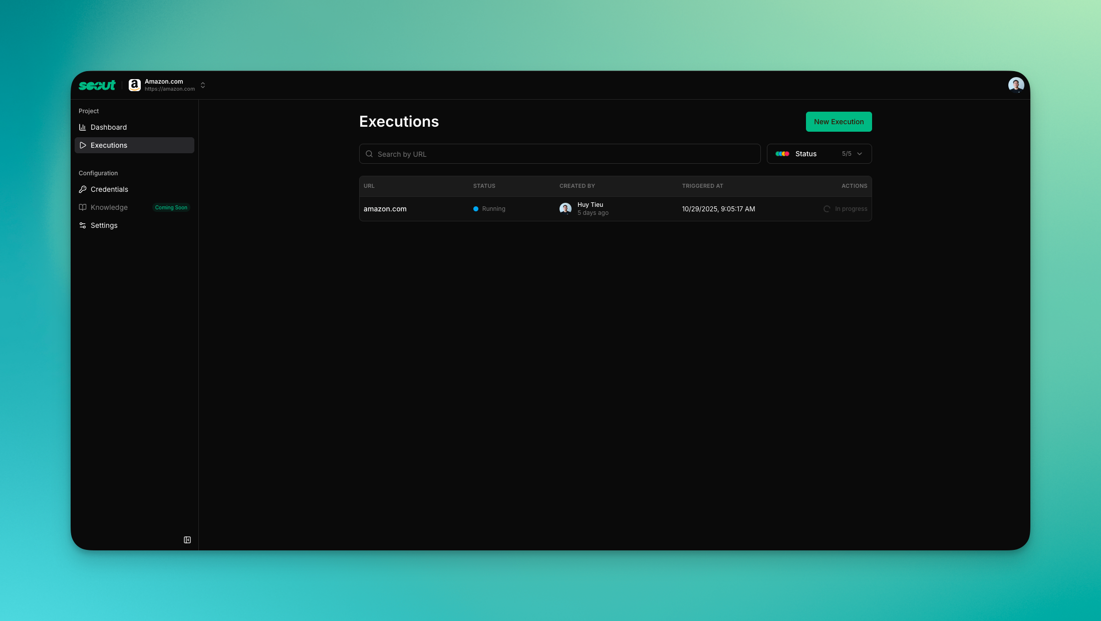 Execution list showing recent runs