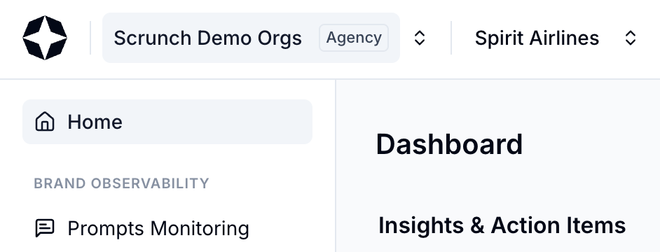 Organization selector showing API access