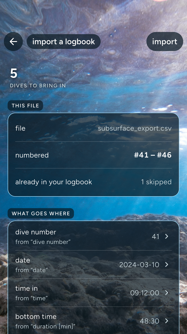 the import review screen for a sample file: the “import” button at the top right, “5 dives to bring in”, the “this file” section with the file name, the numbers #41 to #46 and 1 skipped, and the start of “what goes where”