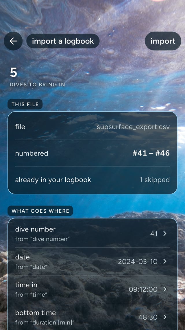 the import review screen for a sample file: the “import” button at the top right, “5 dives to bring in”, the “this file” section with the file name, the numbers #41 to #46 and 1 skipped, and the start of “what goes where”