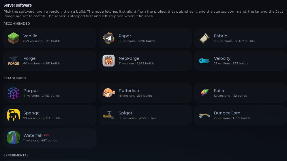 The Version page showing Minecraft server software choices