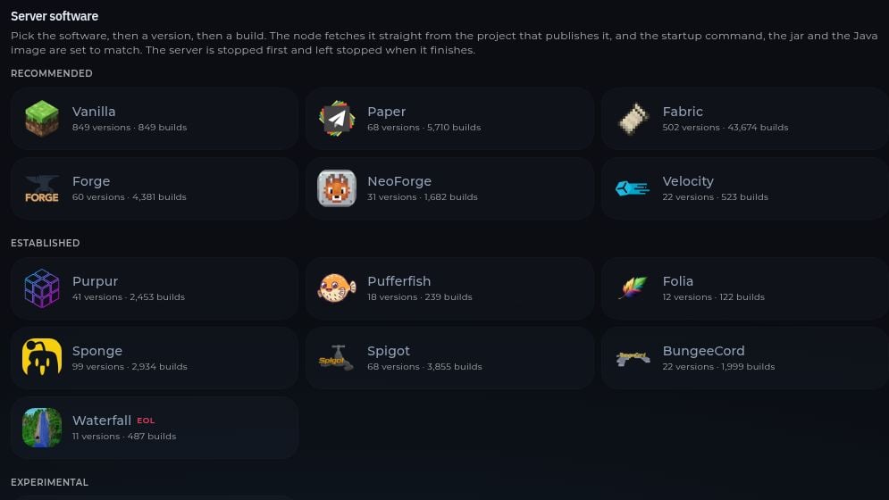 The Version page showing Minecraft server software choices