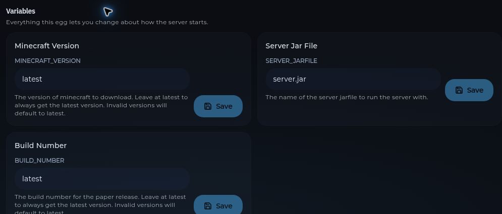 Startup variables for a Paper server, including Minecraft version, jar file, and build number