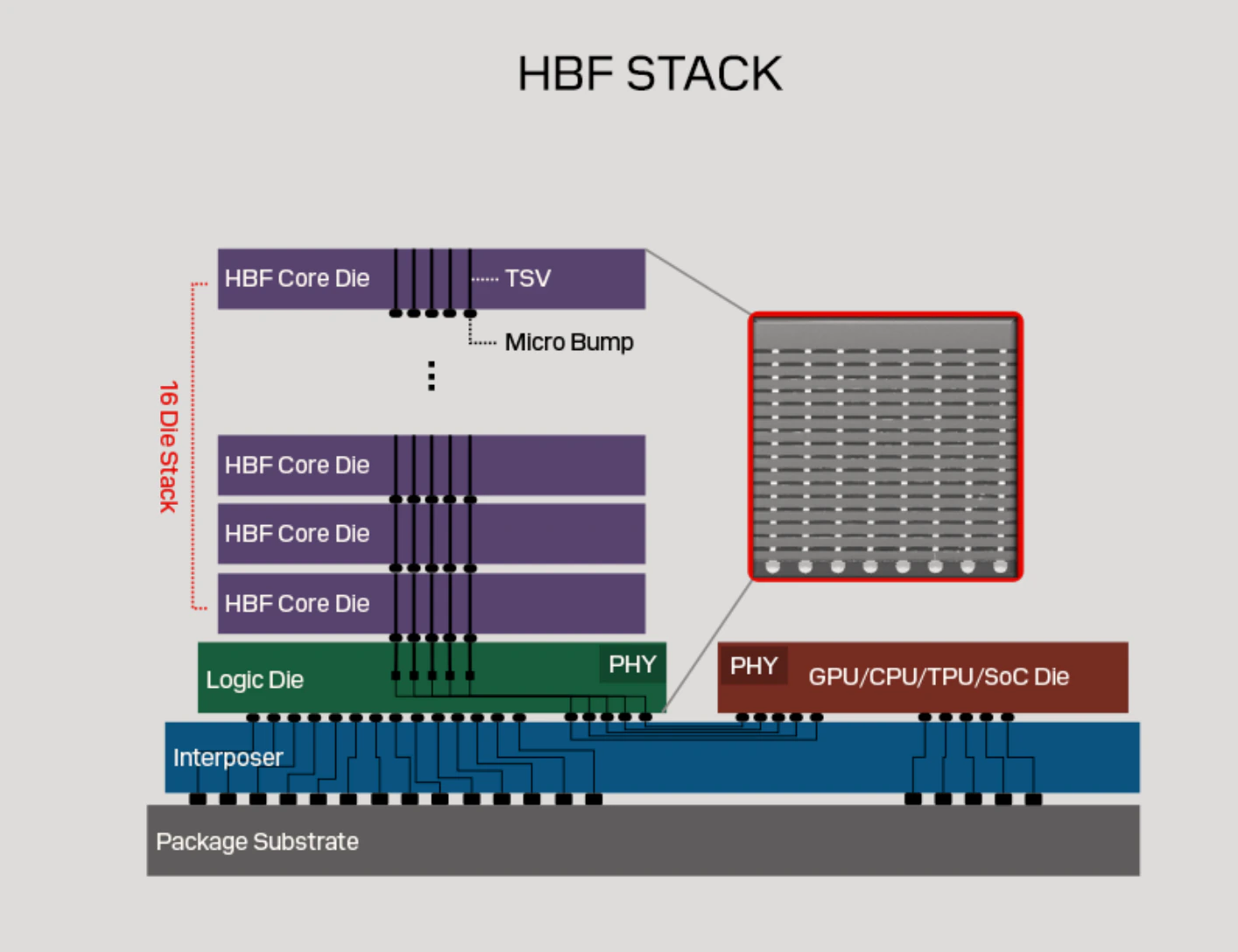 HBF
