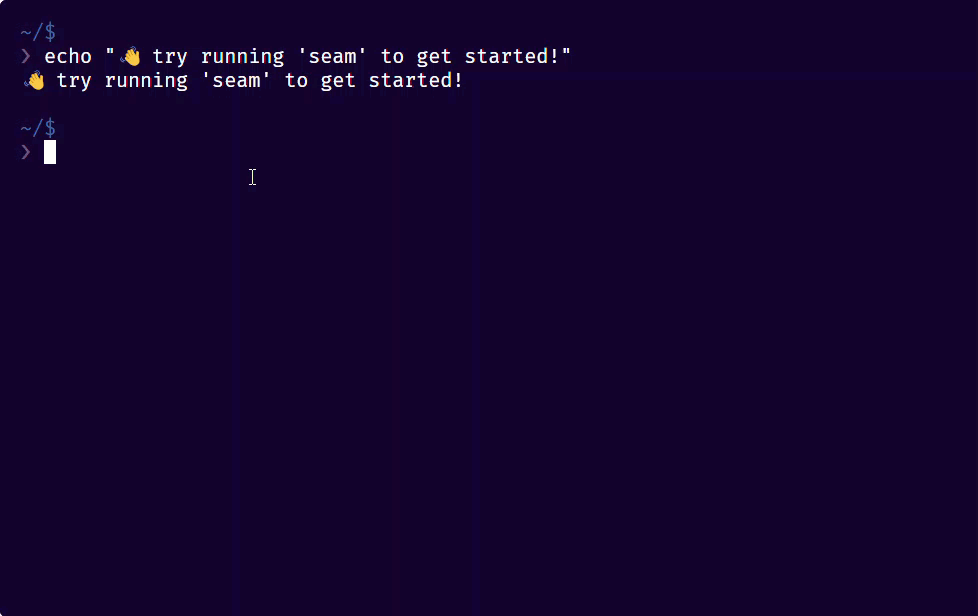 Use the interactive Seam CLI to explore and test the Seam API.