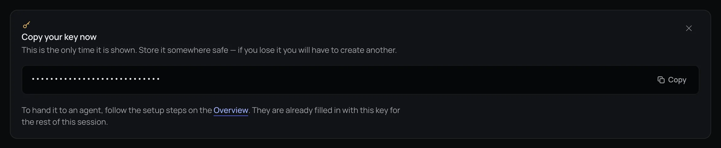 The Copy your key now panel showing the new key masked, with a Copy button and a pointer to the setup steps on the Overview.