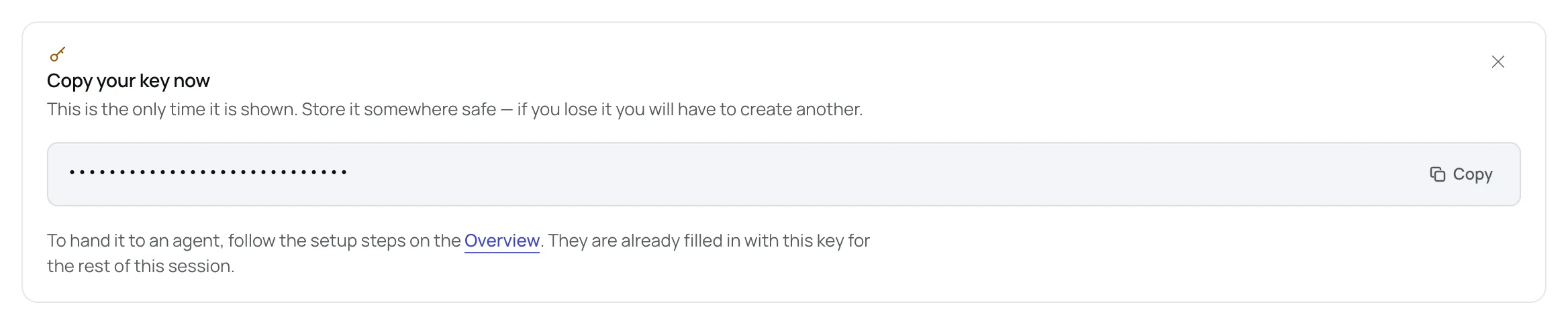 The Copy your key now panel showing the new key masked, with a Copy button and a pointer to the setup steps on the Overview.