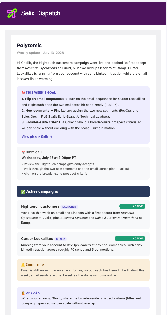 A weekly summary email from Selix with campaign status and metrics
