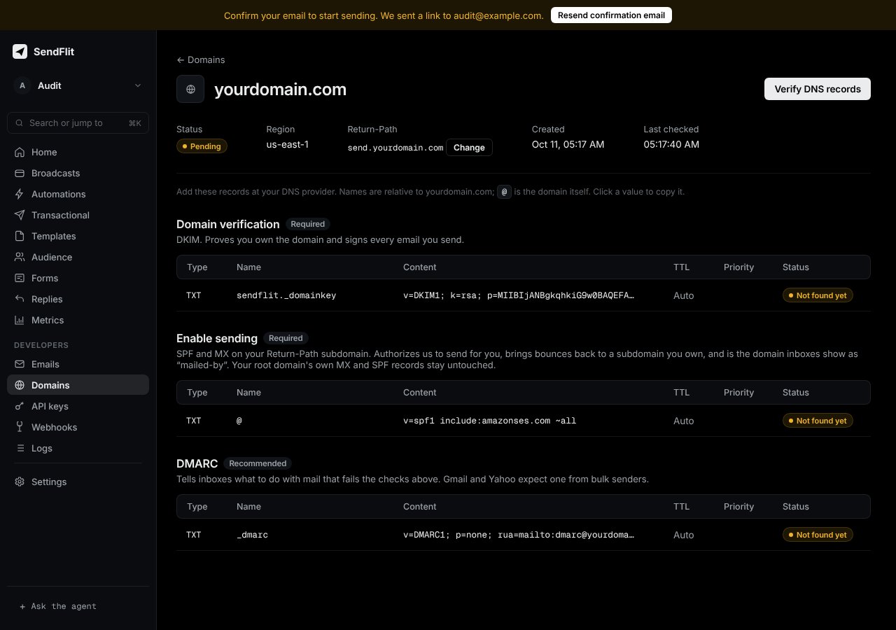 SendFlit dashboard: DNS records for a domain