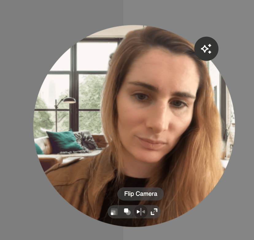 Mirror camera