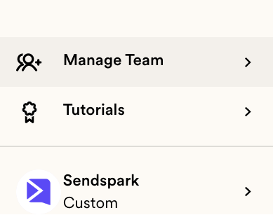 Manage team