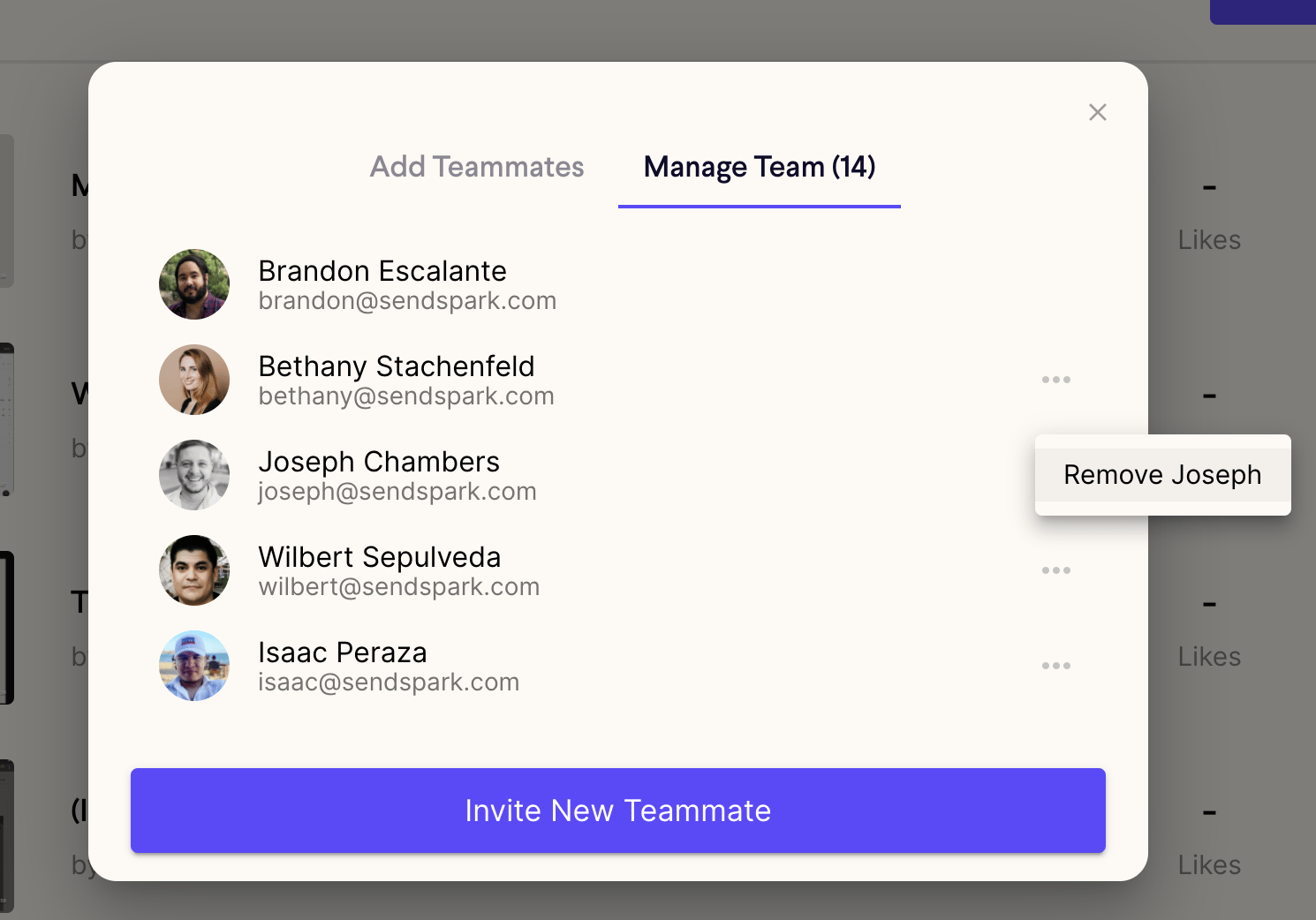 Remove Team Member