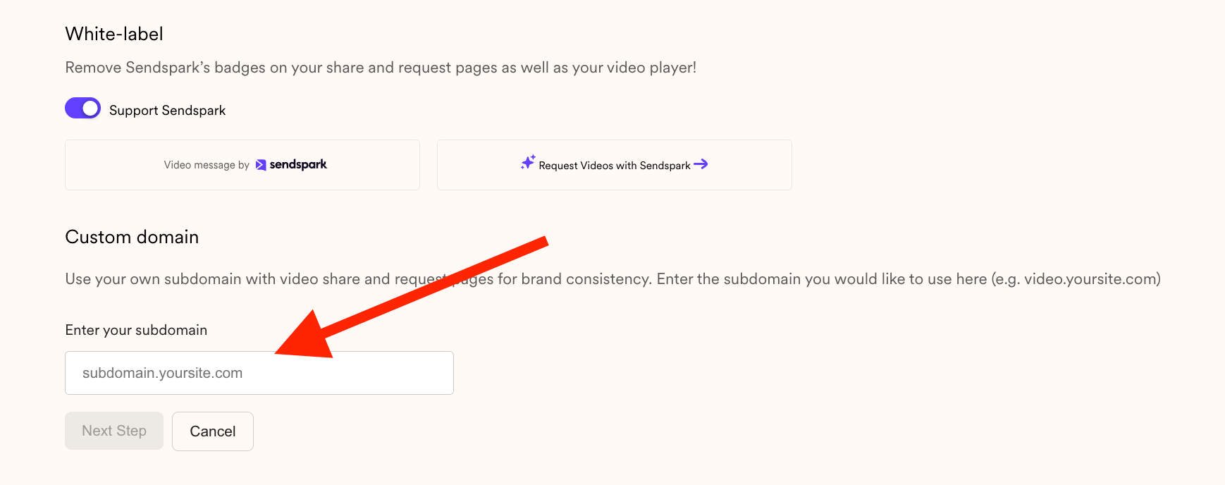 Workspace settings panel with custom domain configuration options