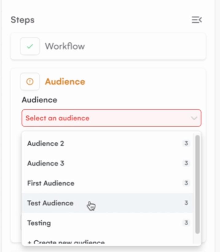 LGM campaign audience assignment with previously created audience selected