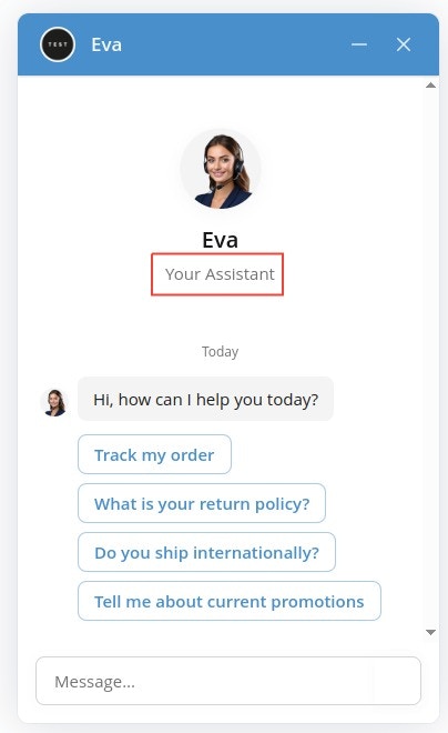 Assistant description configuration field