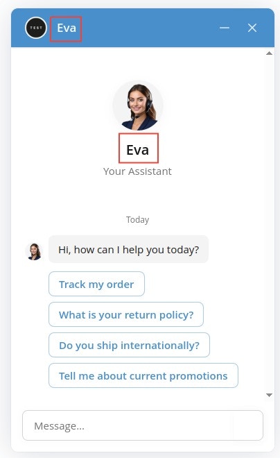 Assistant name configuration field