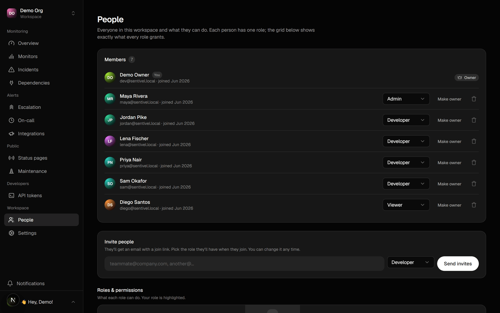 Team members and roles
