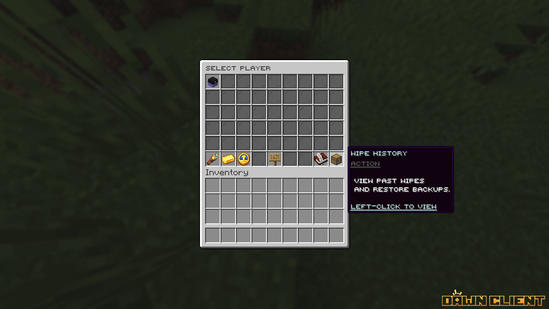 SentryWipe Main GUI