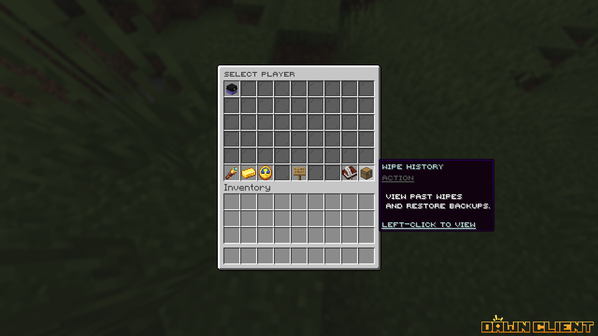 SentryWipe Main GUI