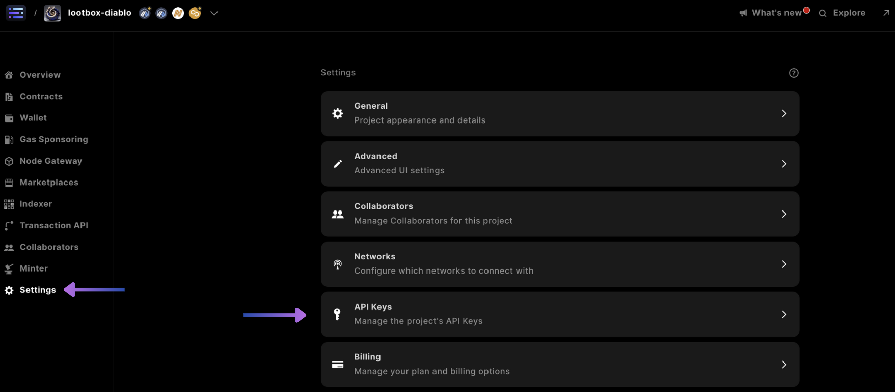 builder settings access keys