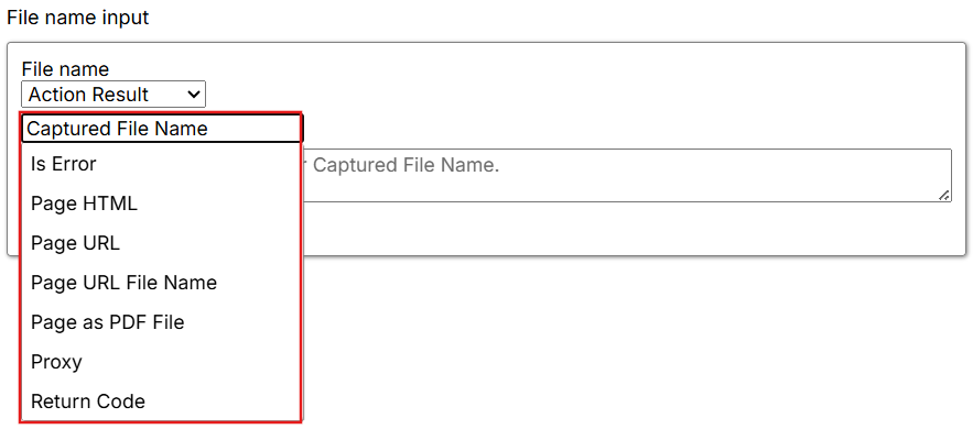 Action Result file-name settings