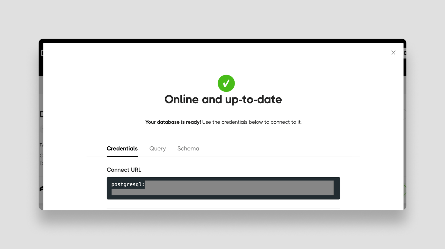 Your Postgres connection string will be shown after setting up Sequin