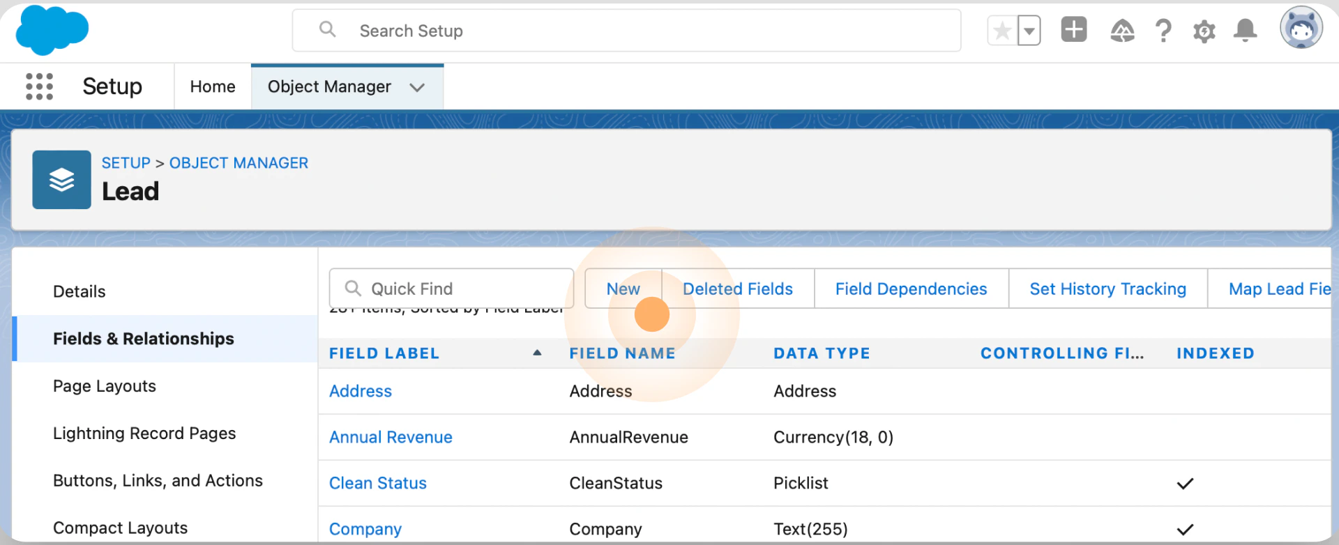 Salesforce Fields and Relationships