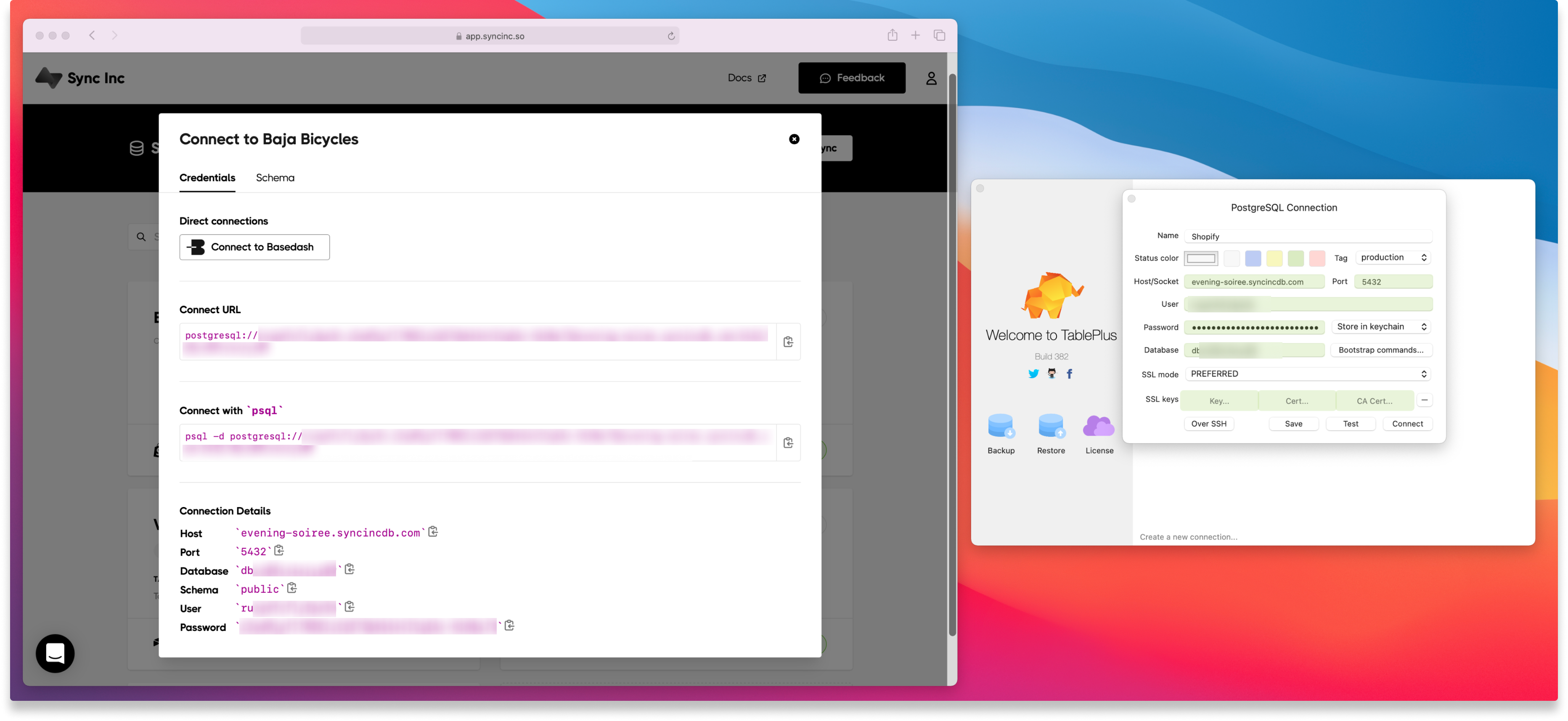 Shopify to TablePlus