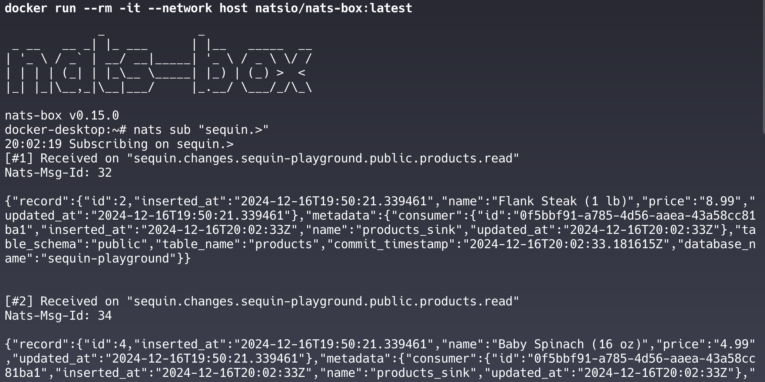 NATS subscription terminal