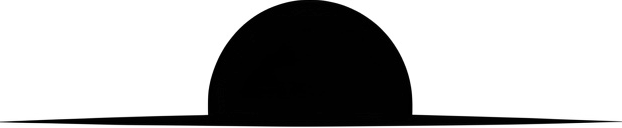 light logo
