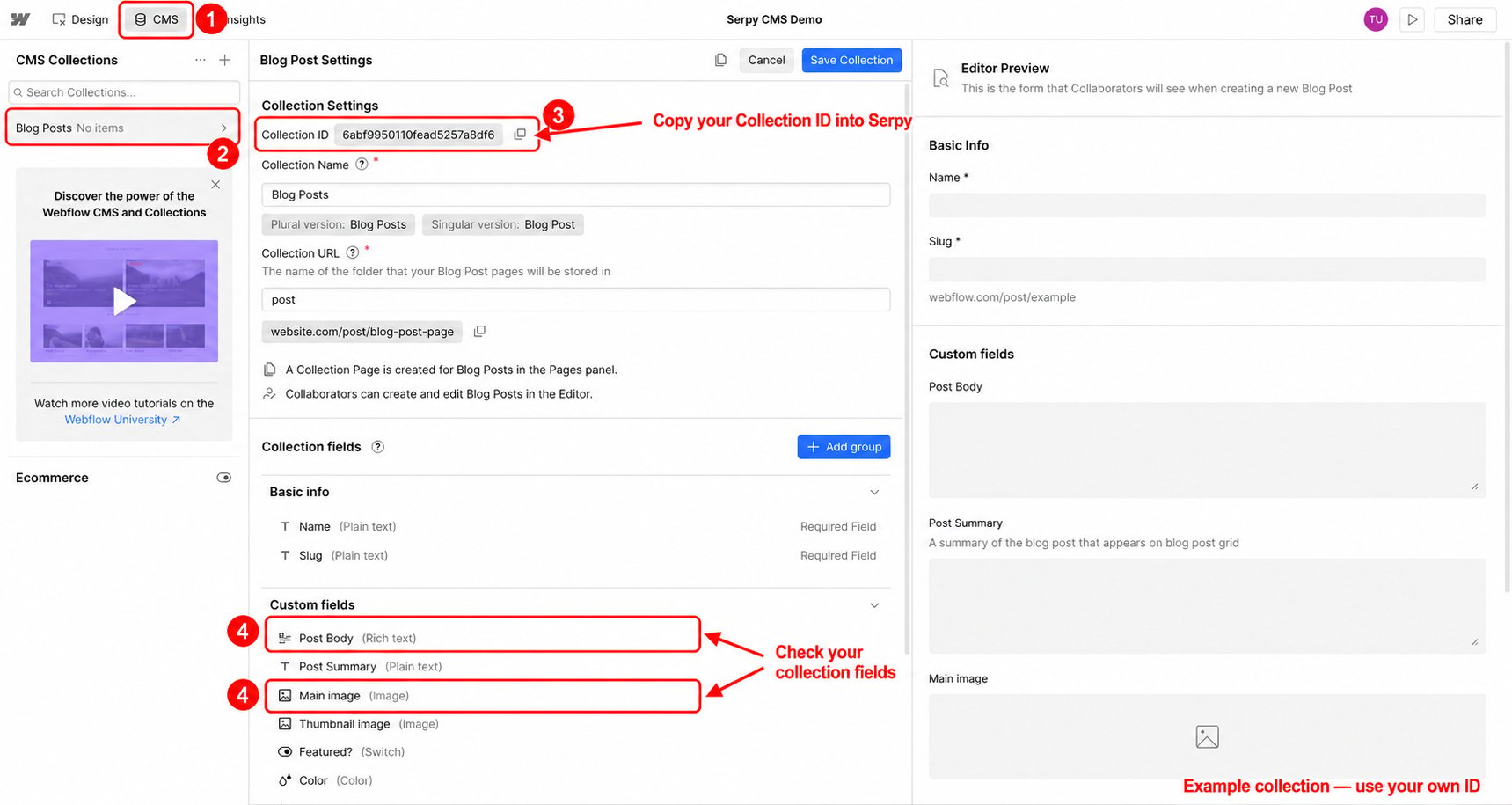 Find the Webflow Collection ID and review collection fields
