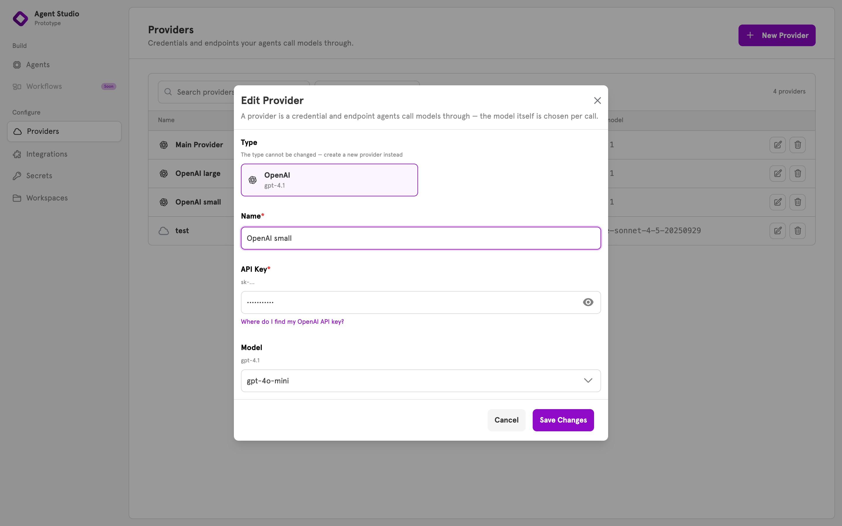 The Edit Provider dialog with the type locked and the API key hidden