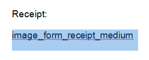 In your document template, copy and paste the field name and select it