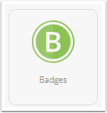 Badges icon in Settings