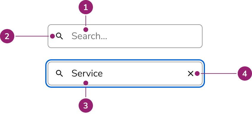 search field
anatomy