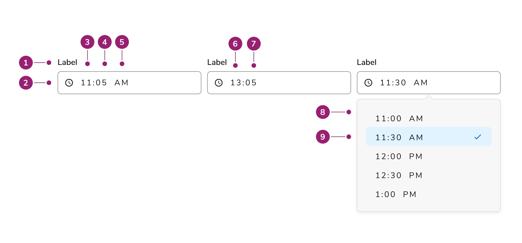 Anatomy of the Time Field
component