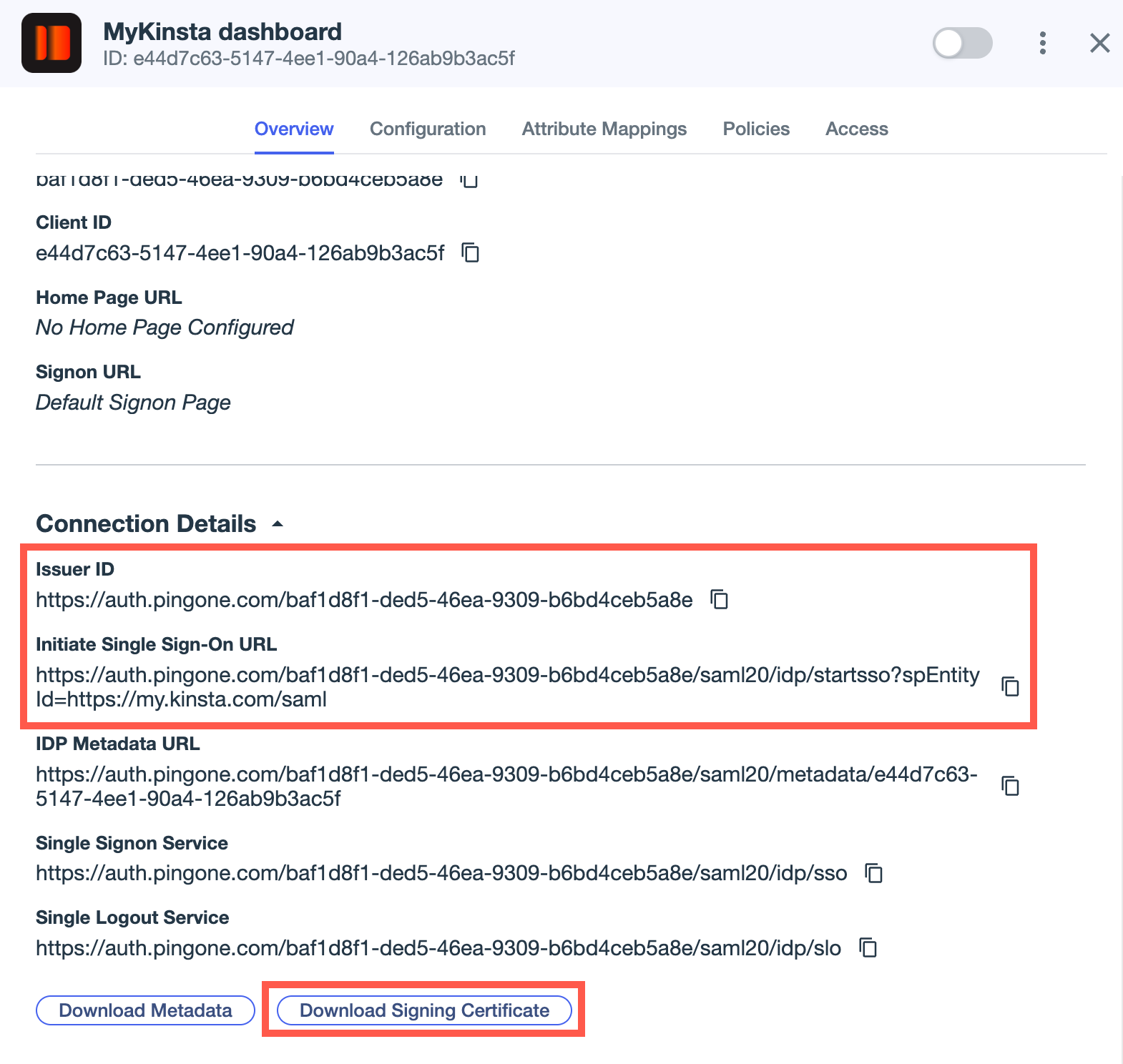 Ping Connection Details