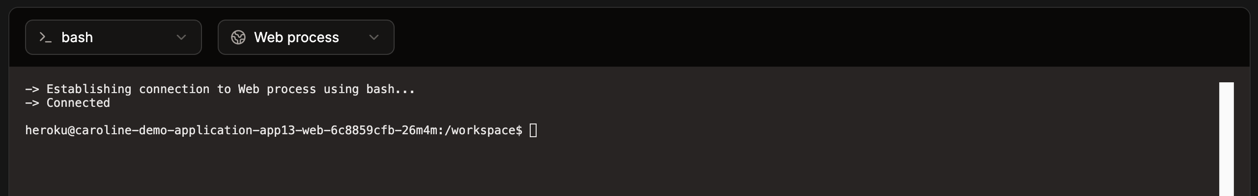 Access the application web terminal