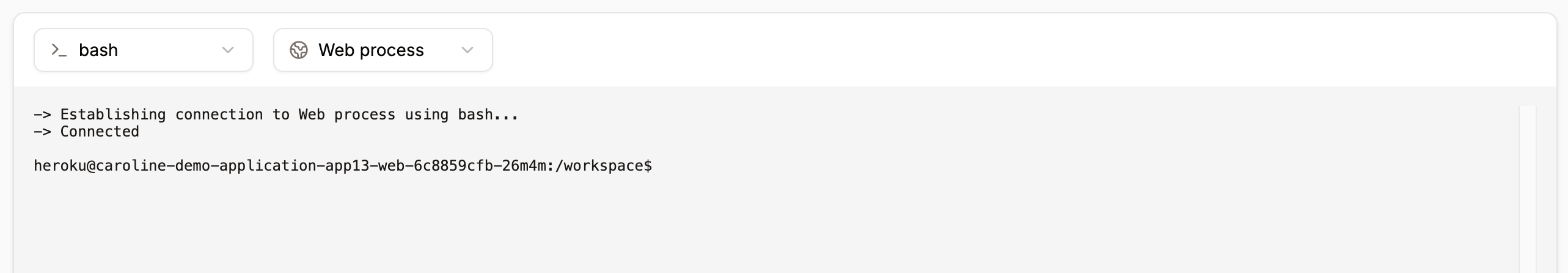 Access the application web terminal