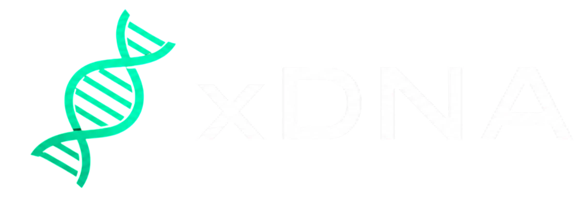 light logo