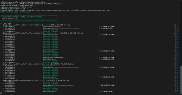 Shuffle Inst Pn Shuffle Inst Pn