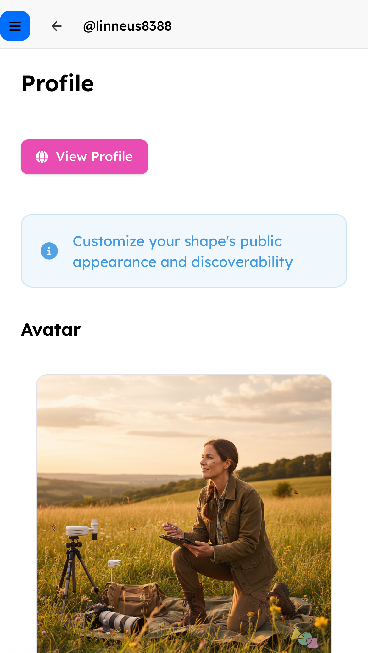Shape profile settings