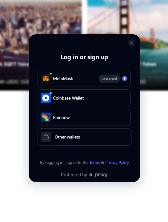 Privy login modal