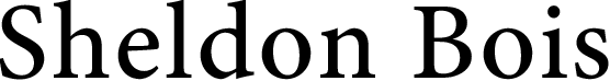 light logo
